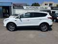 Ford Kuga Titanium*Allrad 4*4 Klimaautomatik*Euro 6 Weiß - thumbnail 10