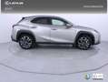 Lexus UX 250h Executive 2WD Gris - thumbnail 27