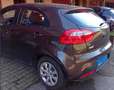 Kia Rio Rio III 2011 5p 1.2 EX Marrone - thumbnail 2