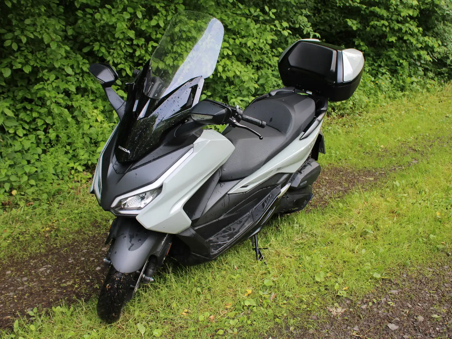 Honda Forza 125 - 1
