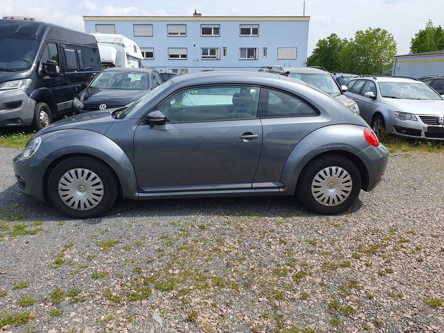Volkswagen Beetle Basis Grau - 2
