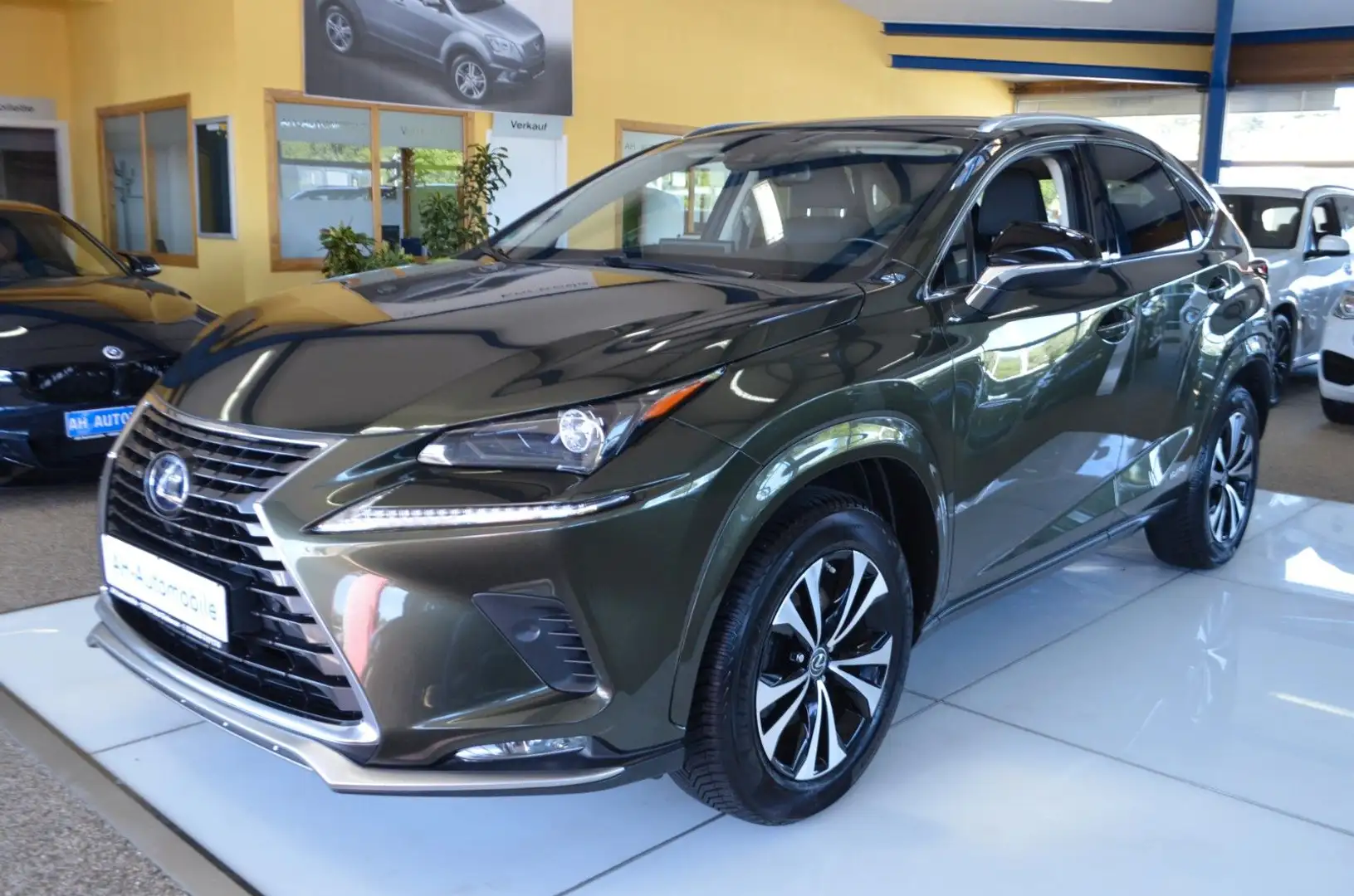 Lexus NX 300 h Style Edition AUTOMATIK / XENO / NAVI Vert - 1