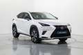 Lexus NX 300 300h Premium 2WD Alb - thumbnail 3