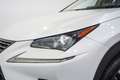 Lexus NX 300 300h Premium 2WD Alb - thumbnail 10