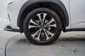 Lexus NX 300 300h Premium 2WD Alb - thumbnail 11