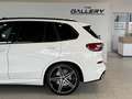 BMW X5 xDrive30d M-Sport Aut.*Panorama*Sitzkühlung*harman/kardon*360°*Spur*Totwinkel Weiß - thumbnail 10