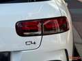 Citroen C4 Cactus 1.6 BLUEHDI 100 AIRDREAM FEEL BUSINESS S&S (Véhicule 2 places / Commercial) Blanc - thumbnail 18