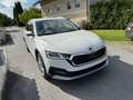 Skoda Octavia Combi Scout 4x4 Weiß - thumbnail 2