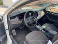 Skoda Octavia Combi Scout 4x4 Weiß - thumbnail 13