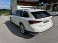 Skoda Octavia Combi Scout 4x4 Weiß - thumbnail 9