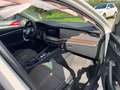 Skoda Octavia Combi Scout 4x4 Weiß - thumbnail 10