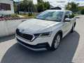 Skoda Octavia Combi Scout 4x4 Weiß - thumbnail 6