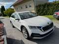 Skoda Octavia Combi Scout 4x4 Weiß - thumbnail 3