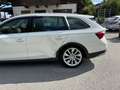Skoda Octavia Combi Scout 4x4 Weiß - thumbnail 4