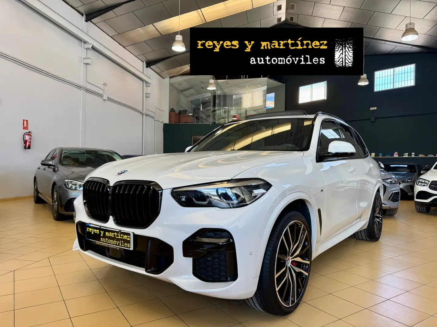 BMW X5 xDrive 30dA xLine Blanco - 1