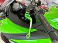 Kawasaki Ninja 300 ABS Spezial Edition Sportauspuff Verde - thumbnail 5
