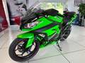 Kawasaki Ninja 300 ABS Spezial Edition Sportauspuff Verde - thumbnail 3