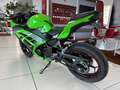 Kawasaki Ninja 300 ABS Spezial Edition Sportauspuff Verde - thumbnail 6
