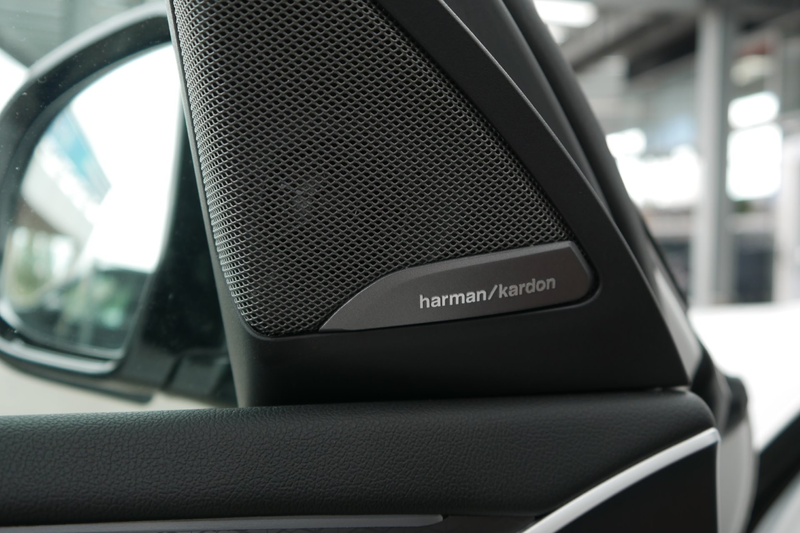 BMW X4 xDrive 20d *M-Paket/AHK/Memorysitz/Standhzg./H&K Sound/Adapt. LED* — photo 10
