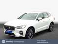 Volvo XC60 XC60 B4 B Geartronic Inscription Weiß - thumbnail 1