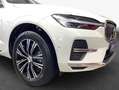 Volvo XC60 XC60 B4 B Geartronic Inscription Weiß - thumbnail 6