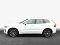 Volvo XC60 XC60 B4 B Geartronic Inscription Weiß - thumbnail 4