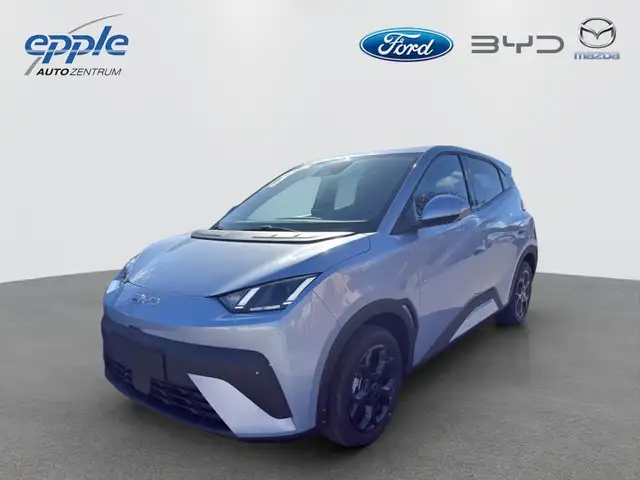 BYD Dolphin Surf Comfort