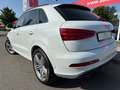 Audi Q3 2.0 TFSI quattro S line Sport*Pano*Keyless* Weiß - thumbnail 5