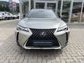 Lexus UX 250h AWD Grau - thumbnail 2
