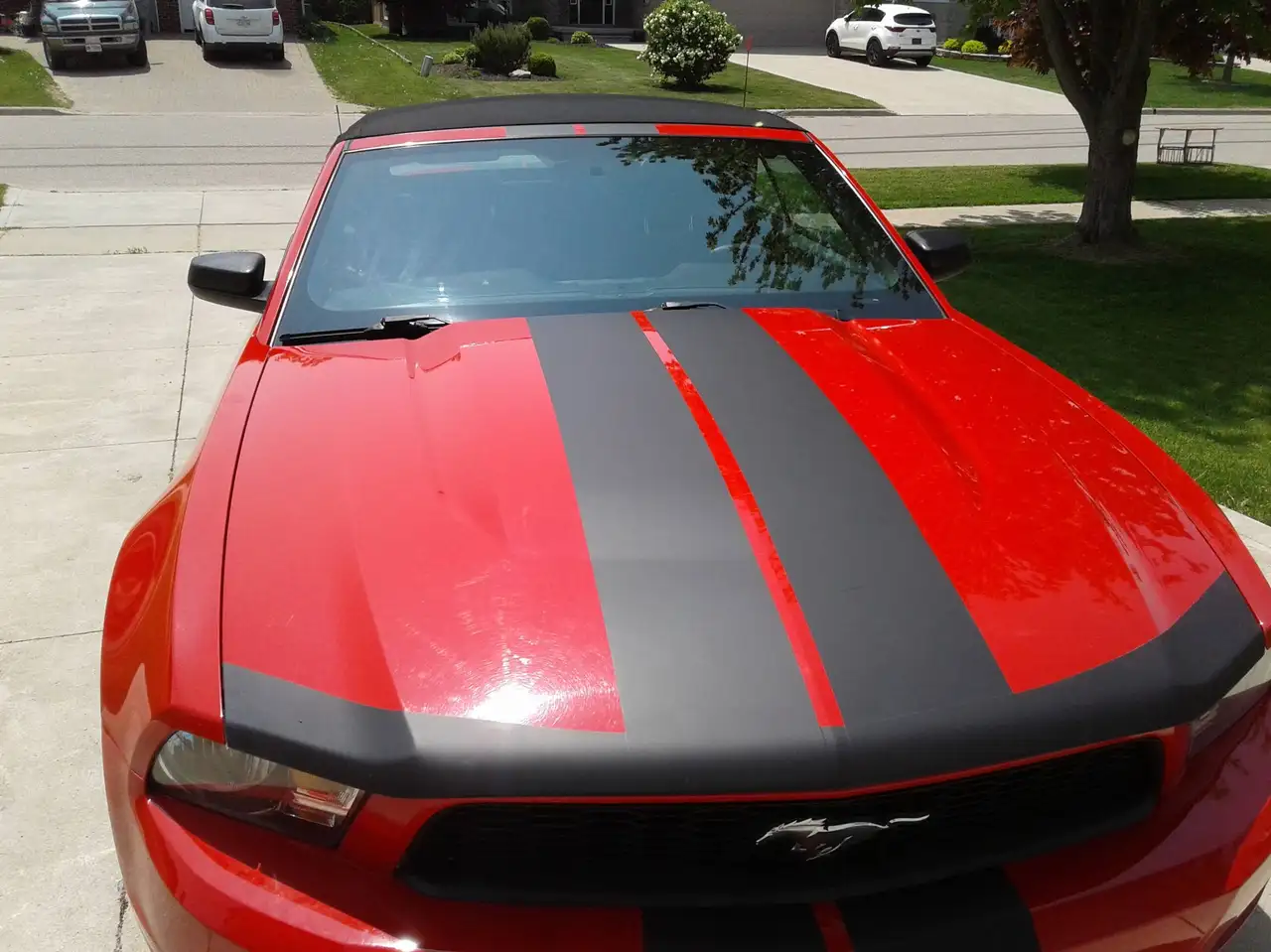 Ford Mustang снимка Ford Mustang