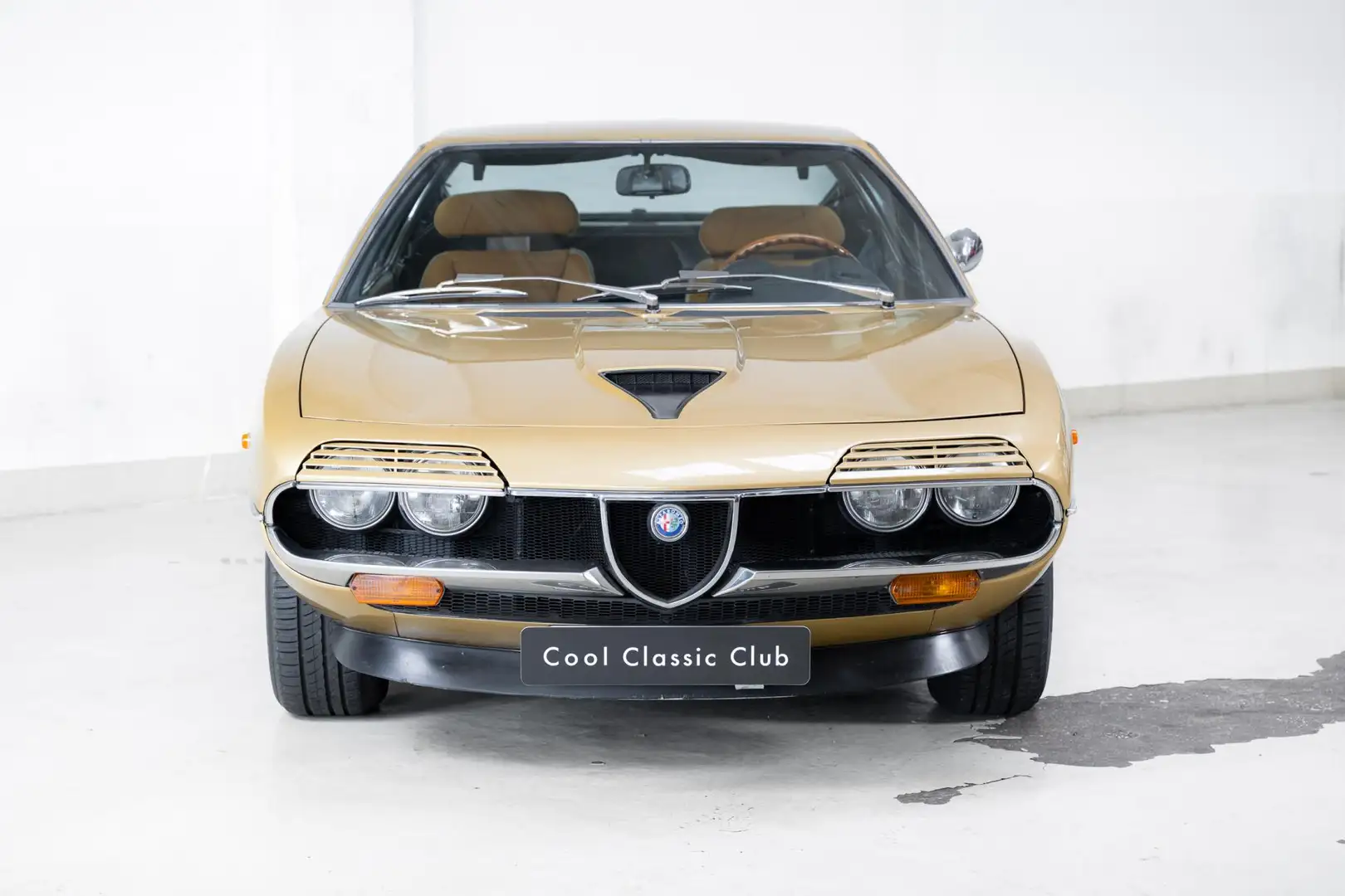 Alfa Romeo Montreal - Oro Metallizato - Avana - Or - 2