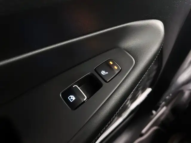 Hyundai Santa Fe view 11