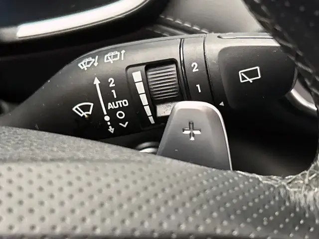 Hyundai Santa Fe view 17