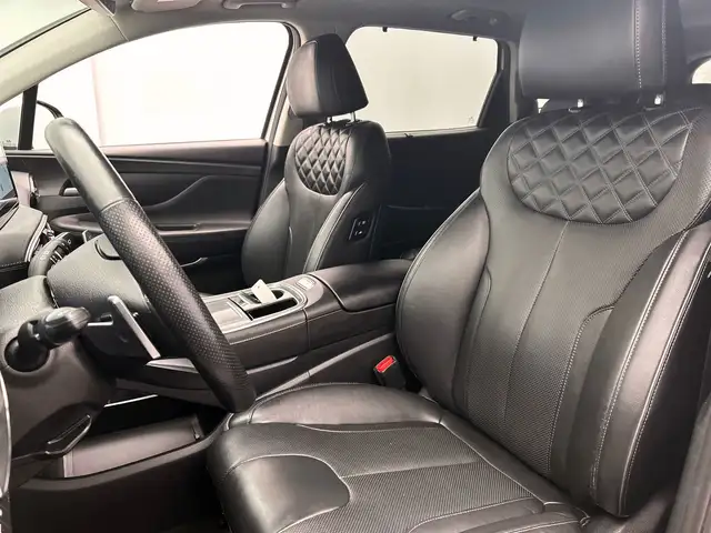 Hyundai Santa Fe view 10