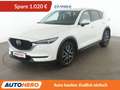 Mazda CX-5 2.5 Sports-Line AWD Aut.*NAVI*ACC*PDC*SHZ* Weiß - thumbnail 1