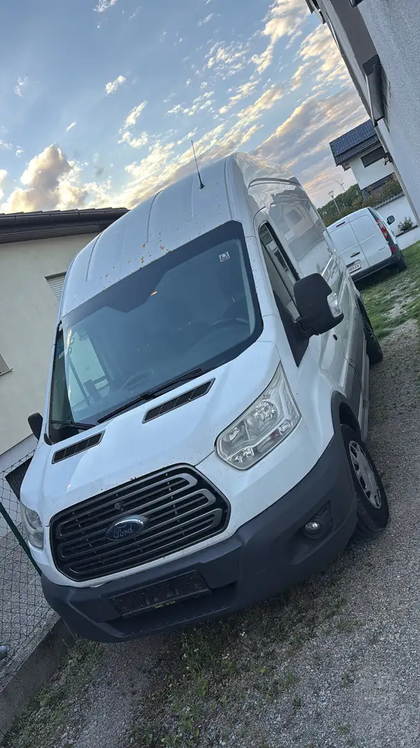 Ford Transit Bus L2H2 - 1