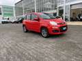 Fiat Panda 1.2 8V Lounge (EURO 6d-TEMP) Klima Einparkhilfe Rouge - thumbnail 5