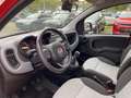 Fiat Panda 1.2 8V Lounge (EURO 6d-TEMP) Klima Einparkhilfe Rouge - thumbnail 7