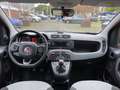 Fiat Panda 1.2 8V Lounge (EURO 6d-TEMP) Klima Einparkhilfe Rosso - thumbnail 9