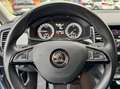 Skoda Kodiaq 2.0 TDI, Style 4x4, AHK, Navi, Canton Gris - thumbnail 13