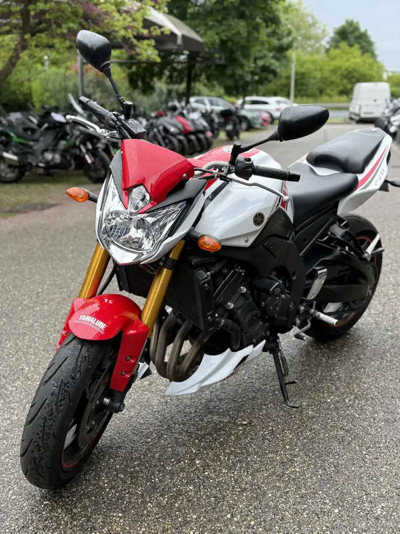 Yamaha FZ 8 Alb - 1