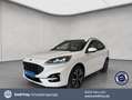 Ford Kuga 2.5 Duratec PHEV ST-LINE X *AHK*TWA*RFK* Weiß - thumbnail 1