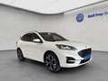 Ford Kuga 2.5 Duratec PHEV ST-LINE X *AHK*TWA*RFK* Weiß - thumbnail 8