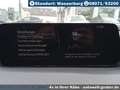 Mazda 3 2.5L e-SKYACTIV G Automatik Homura Gris - thumbnail 20