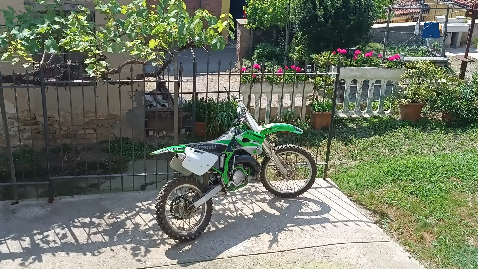 Kawasaki KX 250 Verde - 1
