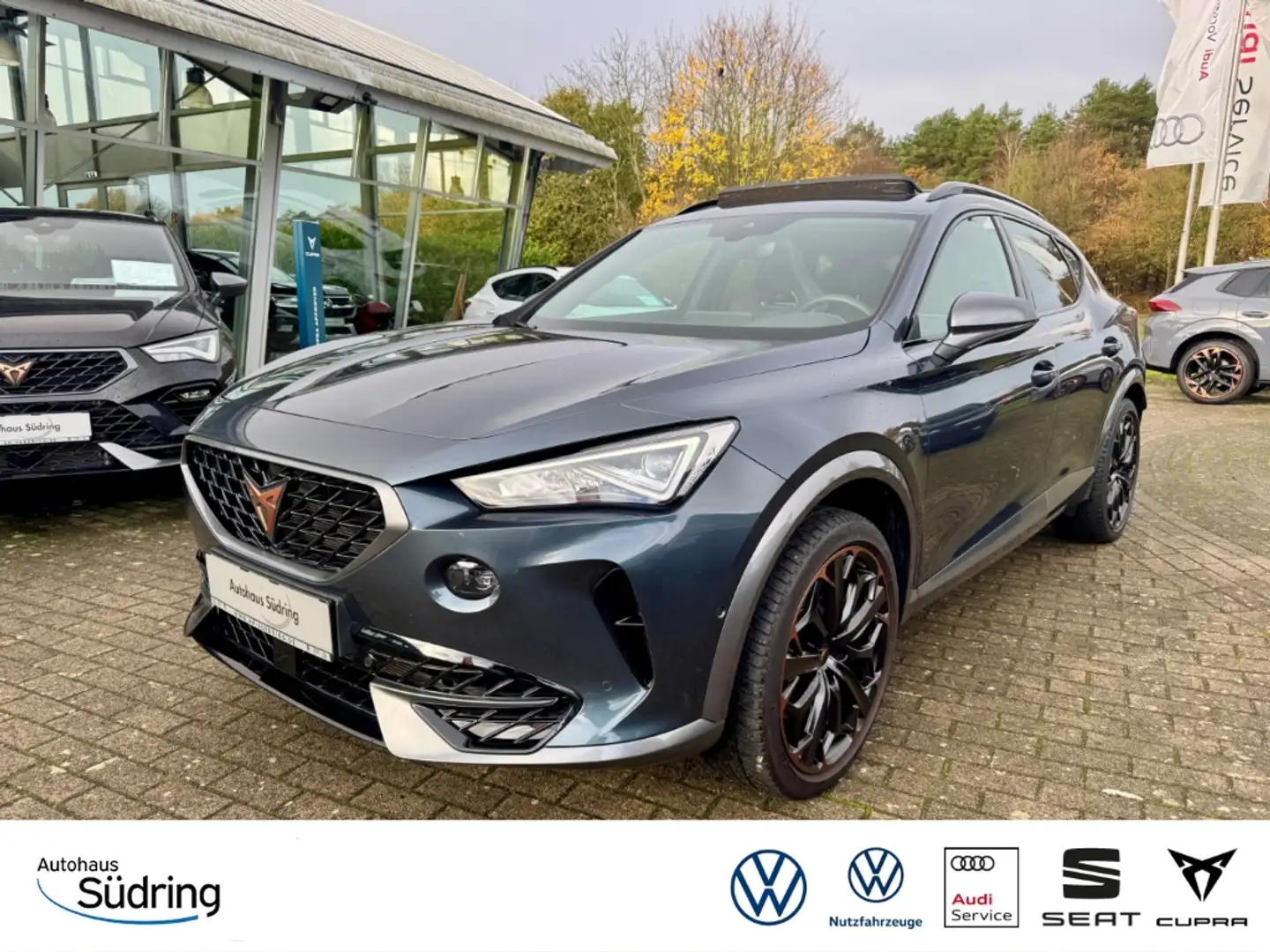 CUPRA Formentor VZ 2.0 TSI DSG AHK Pano Leder Navi Grau - 1