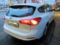 Ford Focus Turnier 1.5D Navi/SHZ/RFK/PDC Blanc - thumbnail 10