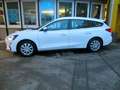 Ford Focus Turnier 1.5D Navi/SHZ/RFK/PDC Blanc - thumbnail 8