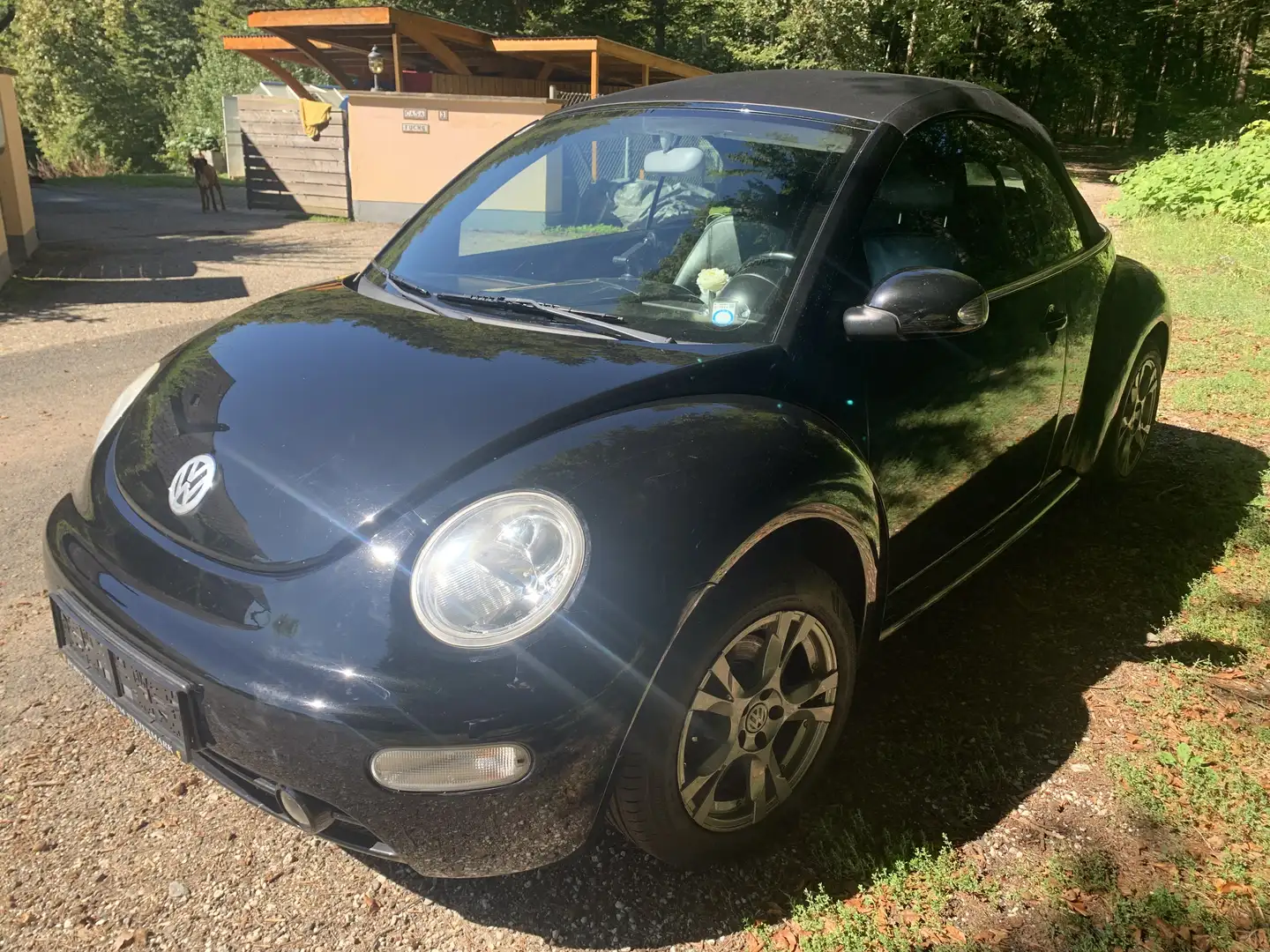 Volkswagen New Beetle Cabriolet 1,6 Leder Schwarz - 1
