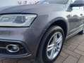 Audi Q5 2.0 tdi Adv Plus quattro 190cv s-tron my17 S-LINE Grigio - thumbnail 15